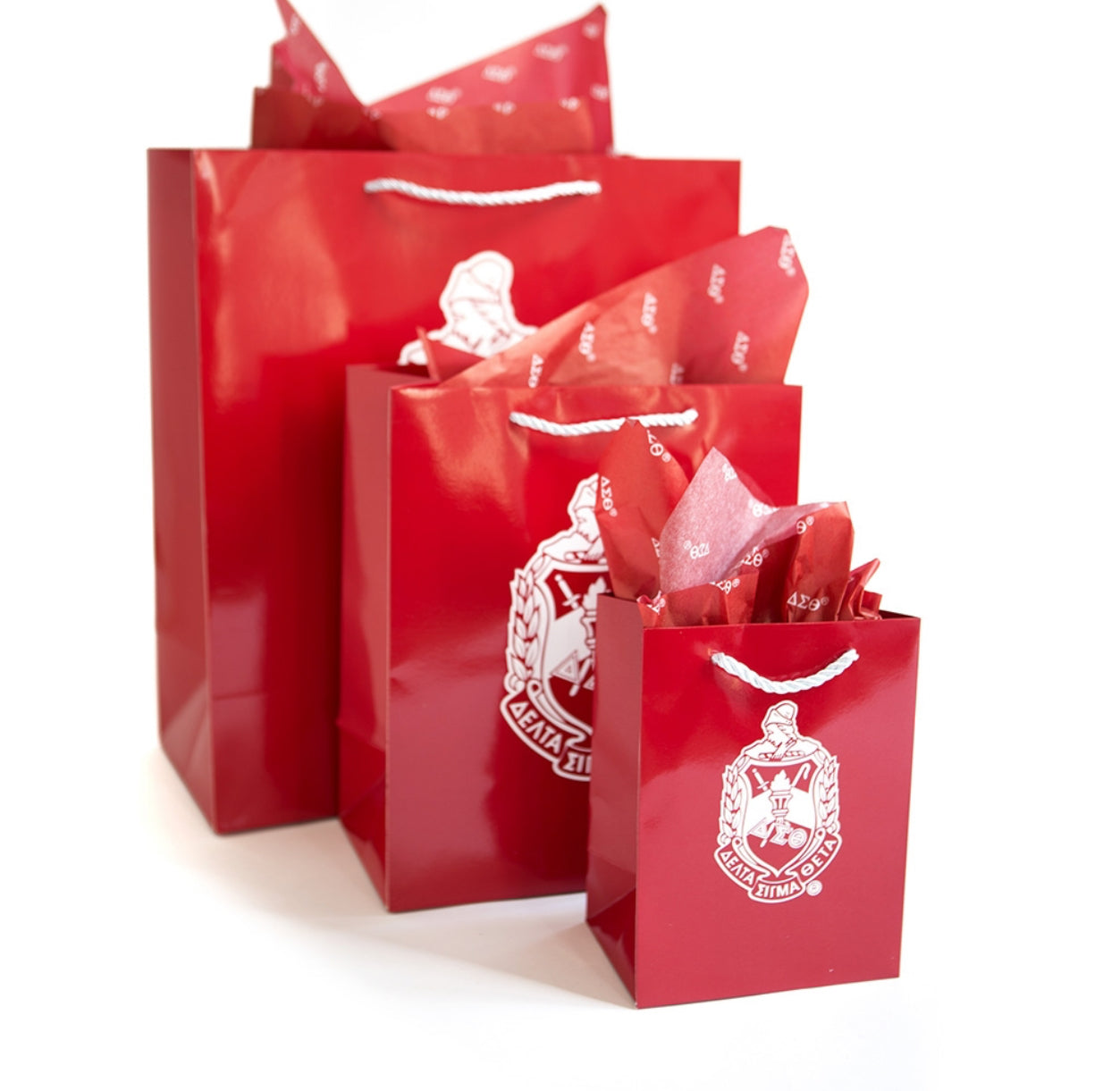 Delta Gift Bag Set