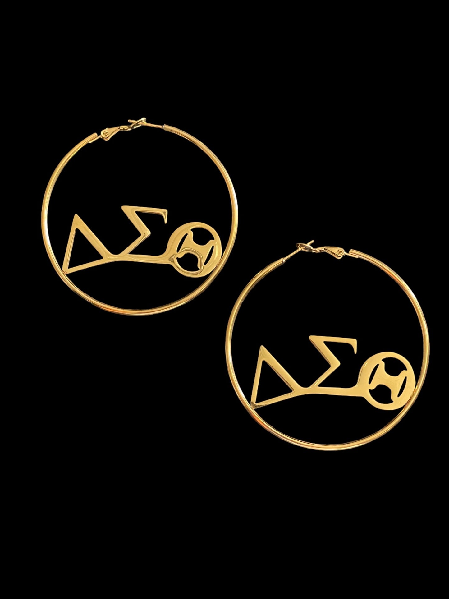 DST Stainless Hoops