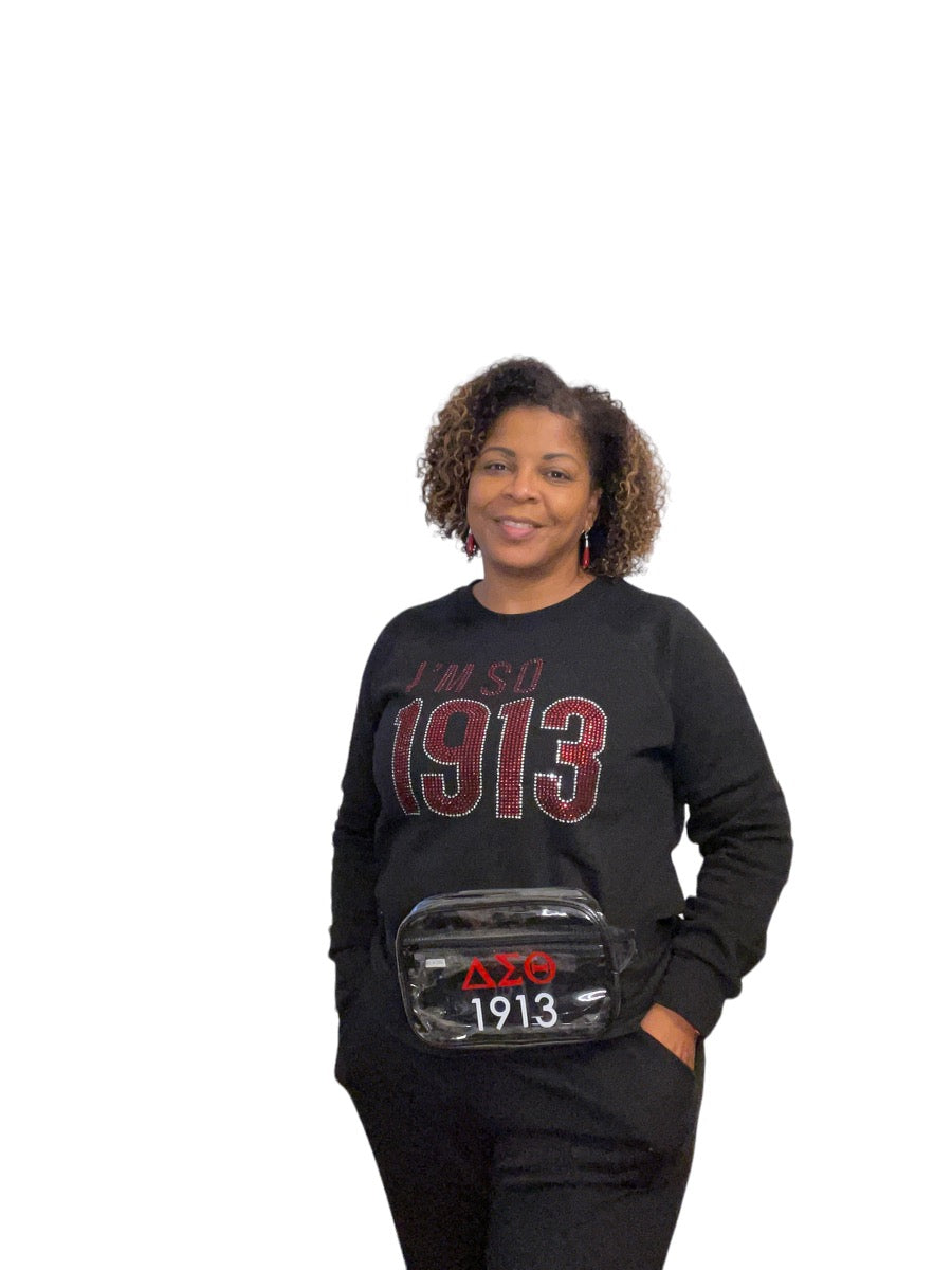 Stadium Waist Bag