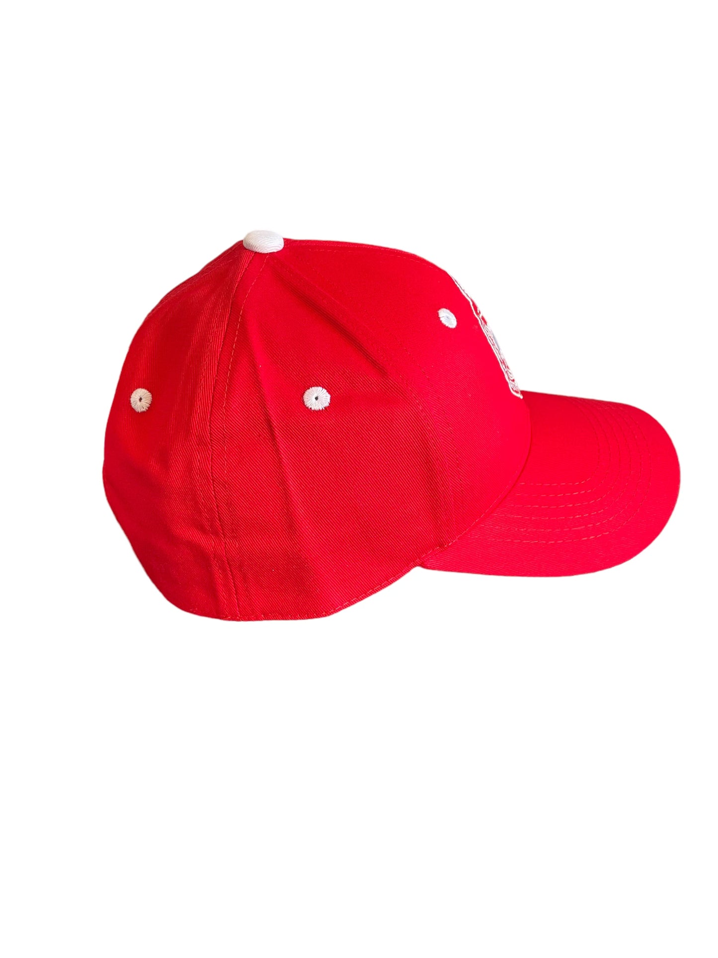 DST Adjustable Baseball Hat